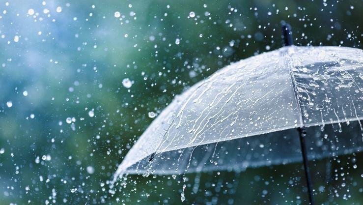 تعطيل جميع مدارس لواء الشوبك الاثنين