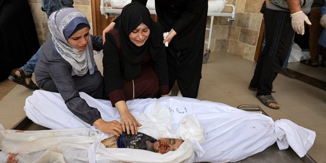حارسة فلسطين الدائمة