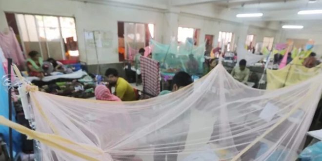بنغلادش تعلن وفاة نحو 1600 شخص بحمى الضنك