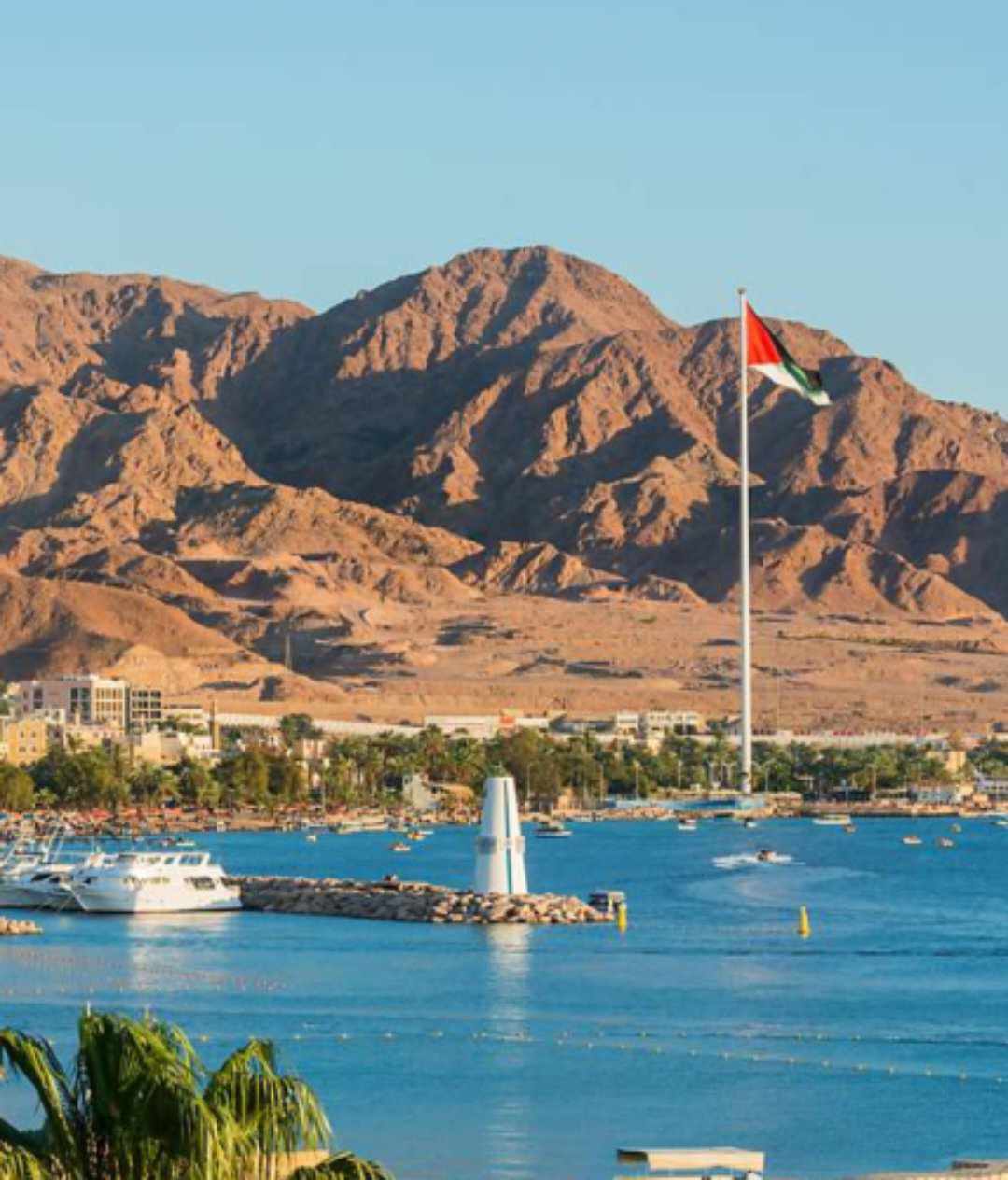 كم يبلغ الشريط الساحلي على خليج العقبة