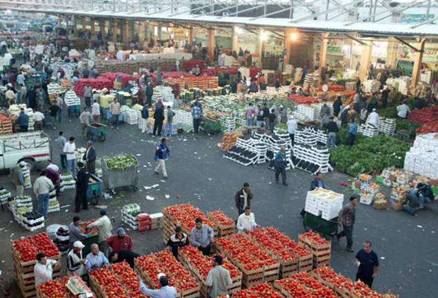 3209 أطنان من الخضار والفواكه ترد للسوق المركزي
