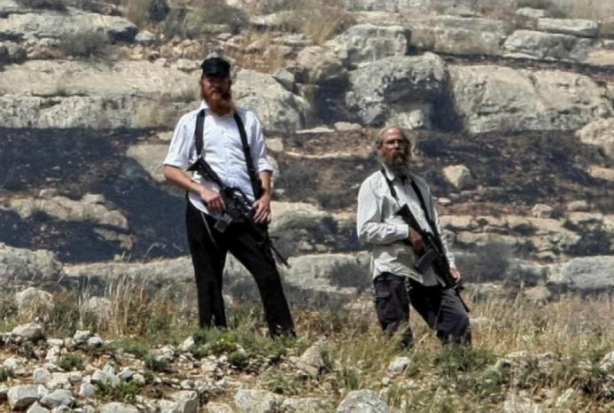 مستوطنون يمنعون مزارعين تحت تهديد السلاح من رعي مواشيهم في الأغوار الشمالية