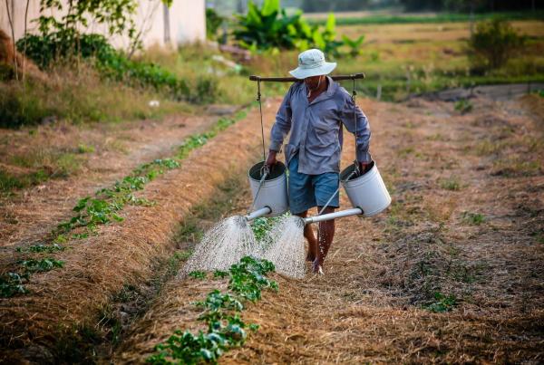 إطلاق مشروع لدعم صغار المزارعين في إربد والمفرق