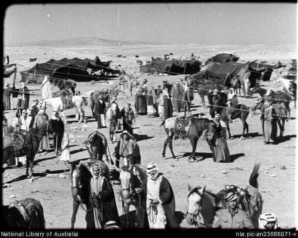 أشهر فرسان عشيرة المجالي  صالح ودرويش المجالي ..