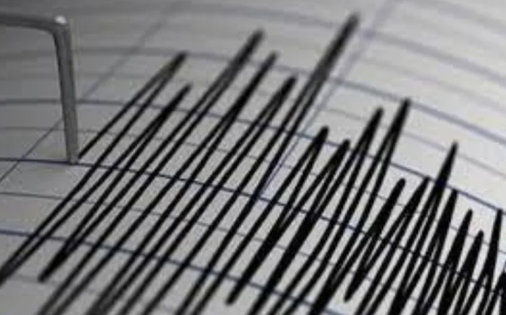 هزة أرضية بقوة 4.6 درجات تضرب الفلبين