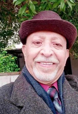القلم في مواجهة البندقية