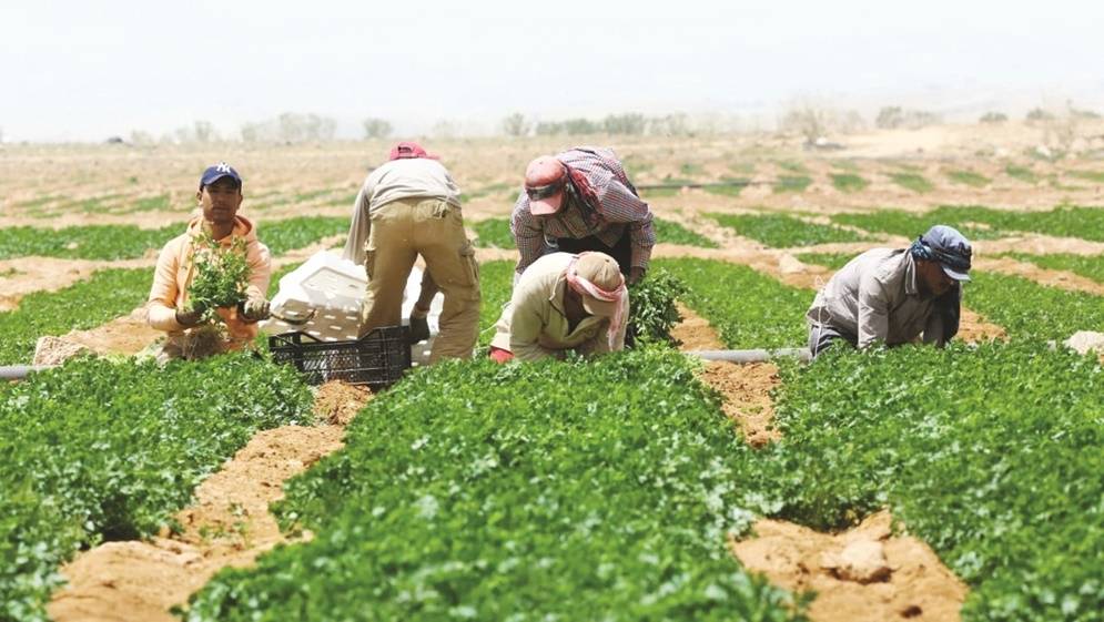 46 عقد عمل جماعي خلال 2023 أبرزها في قطاعات المياه والزراعة