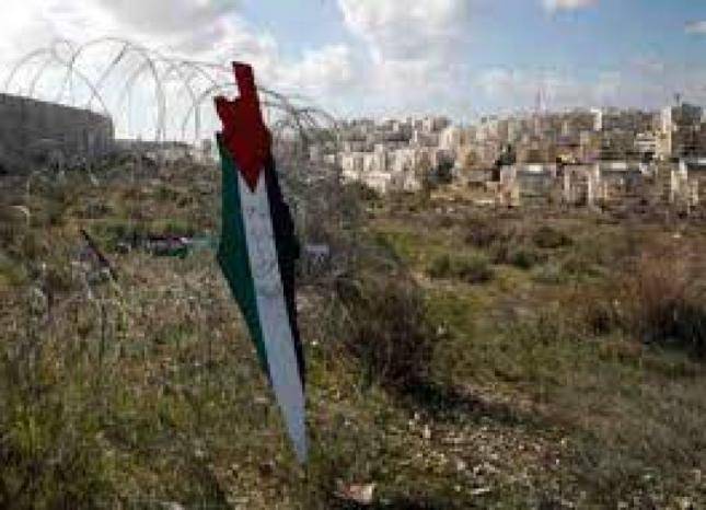 لماذا لا يكون الترحيل للمستوطنين لا الفلسطينيين؟