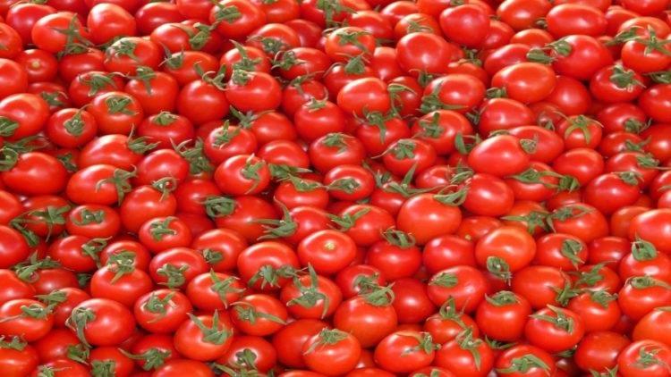 الأردن.. اعتصام أمام السوق المركزي رفضا لتصدير الخضروات للاحتلال