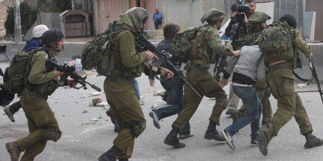 الاحتلال يعتقل أكثر من 230 فلسطينياً في الضفة الغربية خلال الأسبوع الماضي