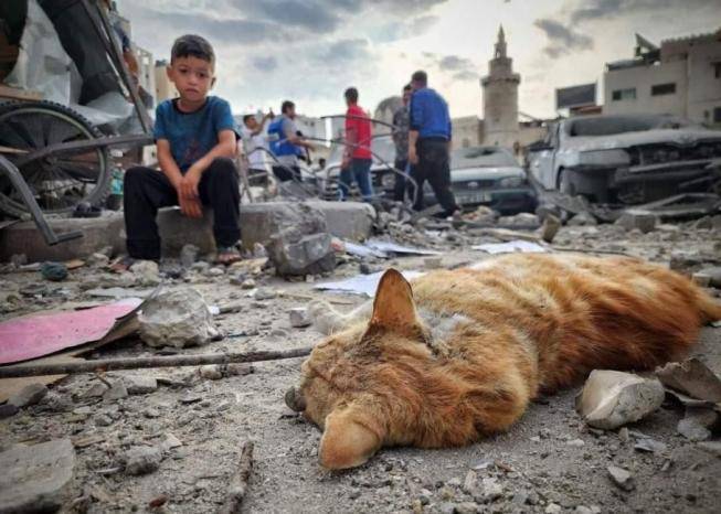 المرصد الأورومتوسطي لحقوق الإنسان: 100ألف فلسطيني بين شهيد ومفقود وجريج في اليوم 100 لجريمة الابادة