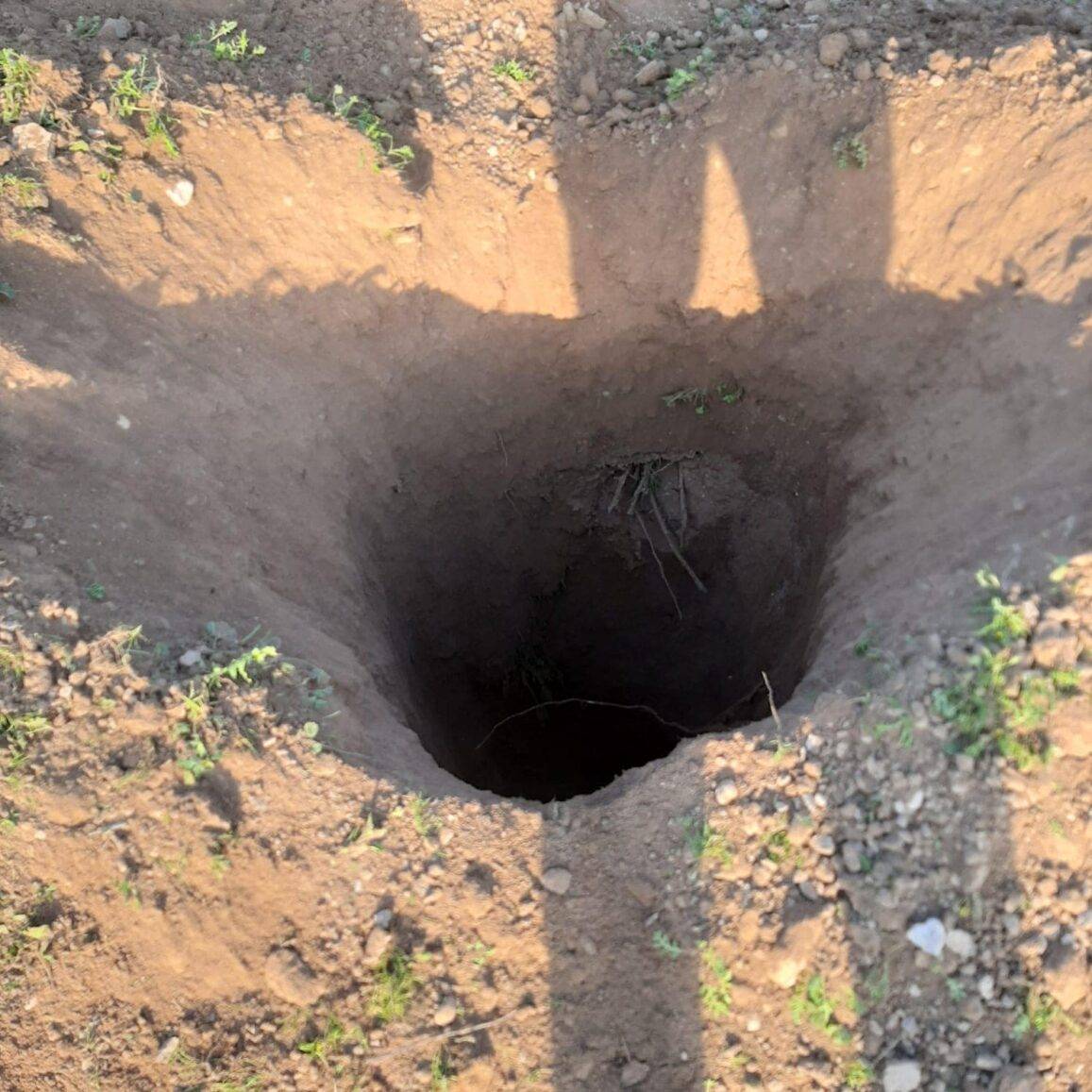 زراعة المفرق تنفذ 140 بئر للحصاد المائي العام الماضي