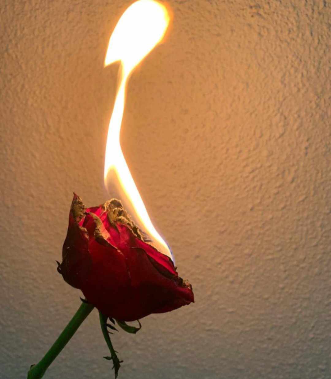 الحقد..