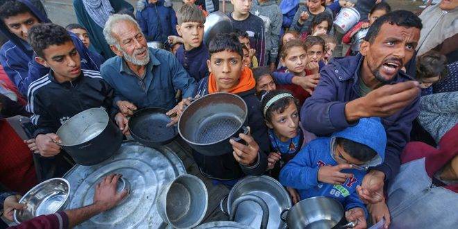 400 ألف فلسطيني في غزة وشمالها يواجهون المجاعة