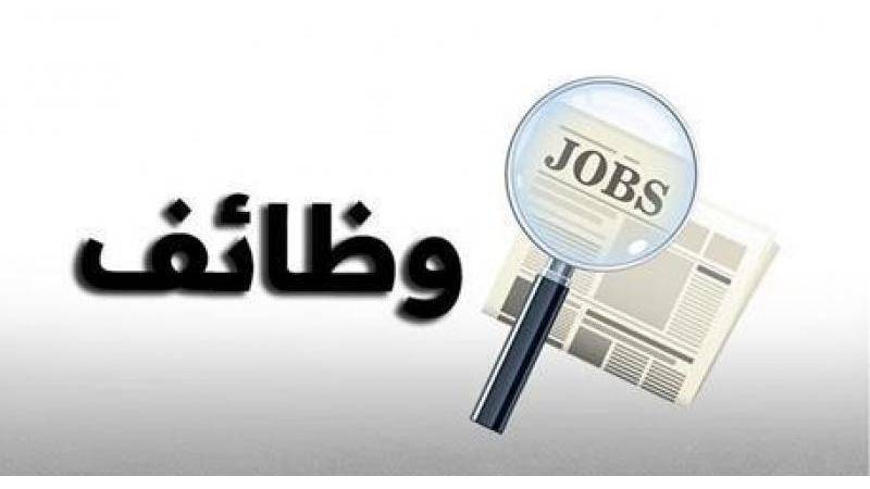 بالتفاصيل .. وظائف شاغرة