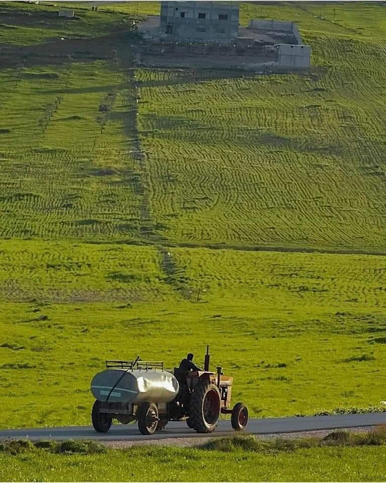 منشية بني حسن   المفرق