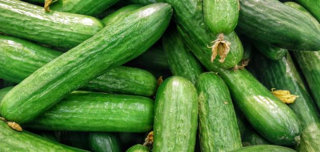 ارتفاع أسعار الخيار في السوق المركزي