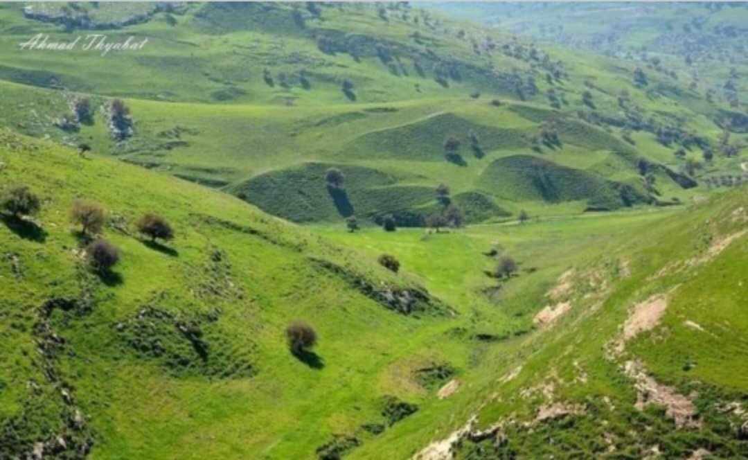 أجواء لطيفة الحرارة في أغلب المناطق الإثنين