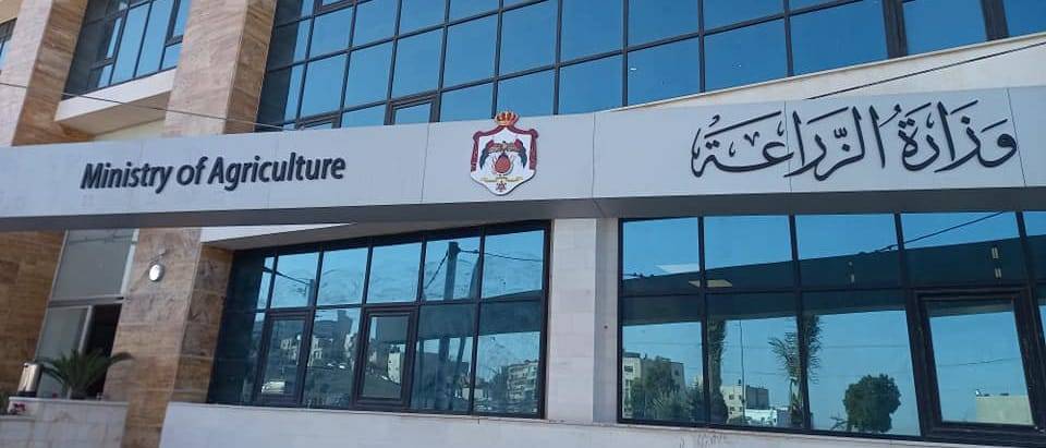 زراعة إربد: كميات الأمطار المتساقطة ستزيد النمو الخضري للمحاصيل الحقلية