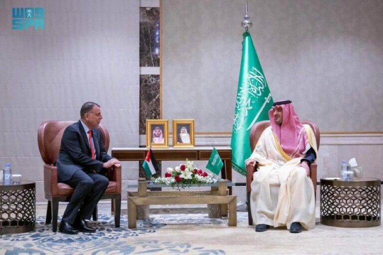 وزير الداخلية يلتقي نظيريه السعودي والمصري