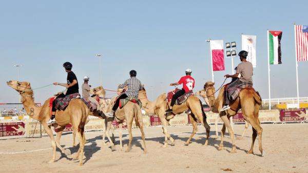 بمشاركة الأردن .. قطر: البطولة الدولية لكرة يد الهجانة تنطلق مساء الأربعاء