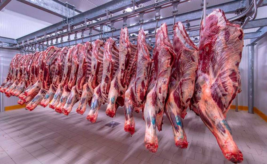 إتلاف 250 كغم من اللحوم في جرشإتلاف 250 كغم من اللحوم في جرش