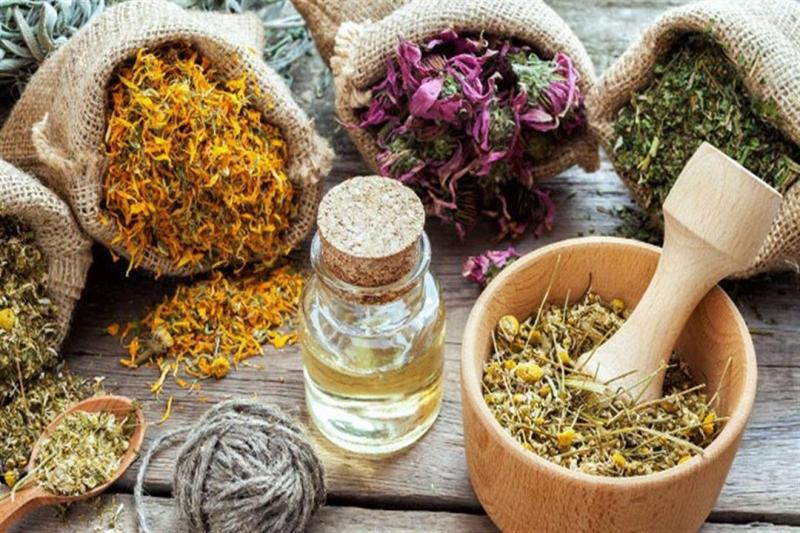 صحتك تهمنا.. 5 أعشاب لعلاج نزلات البرد في المنزل