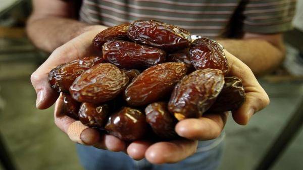 الأردن يصدَّر أكثر من 50 من إنتاجه من التمور