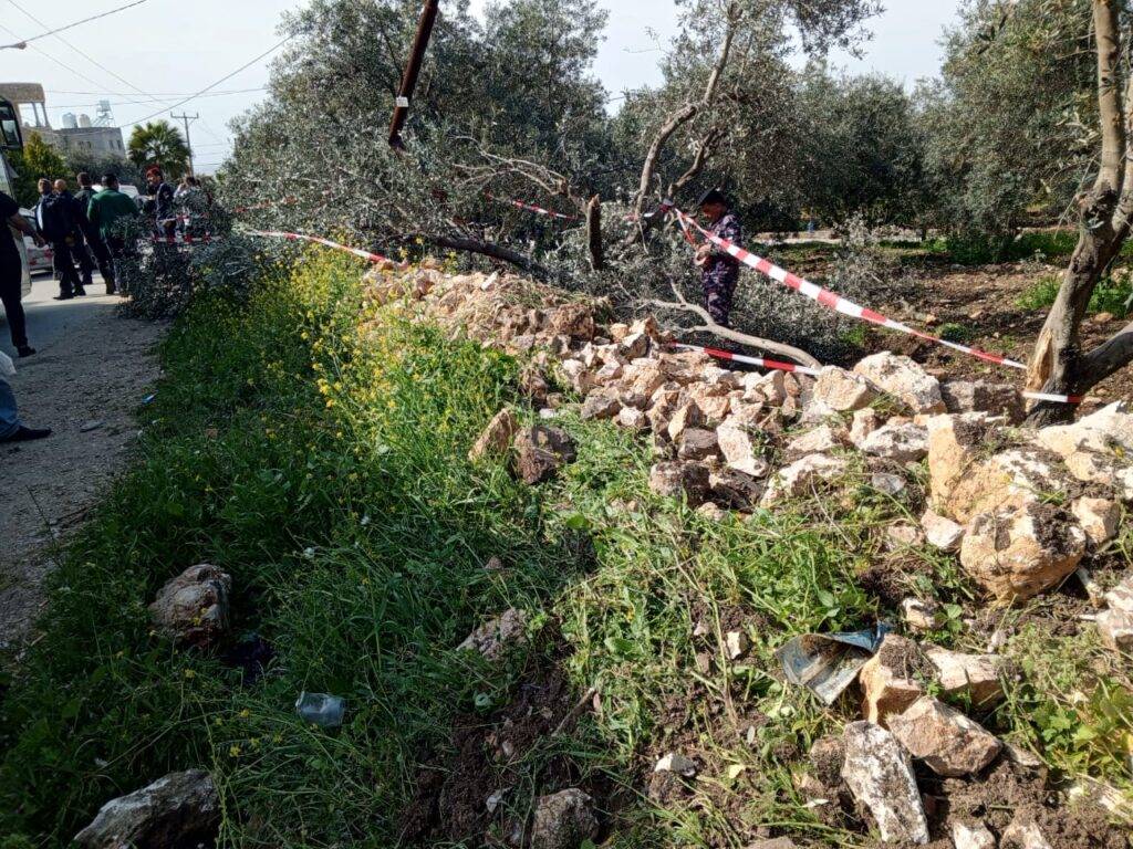 بالصور ... اصابتان بحادث تدهور مركبة واصطدامها بعامود كهرباء غرب إربد