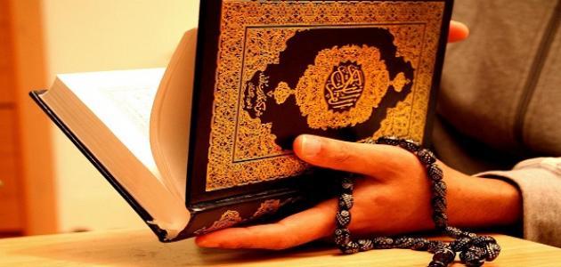 الزيادي تكتب  مـن هو الرائــد