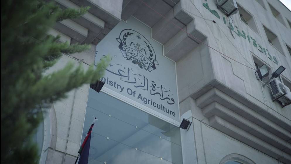 الزراعة : أسعار اللحوم مستقرة منذ بداية شهر رمضان