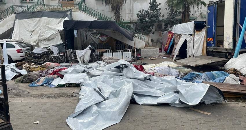 بلدية غزة تحذر من خطورة انتشار الأمراض نتيجة تزايد الحشرات الضارة