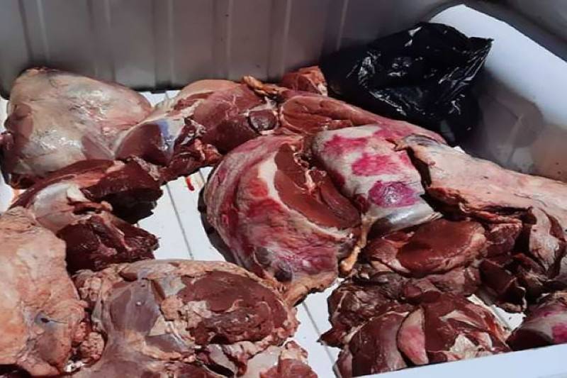 بلدية الكرك تتلف كميات كبيرة من اللحوم الفاسدة