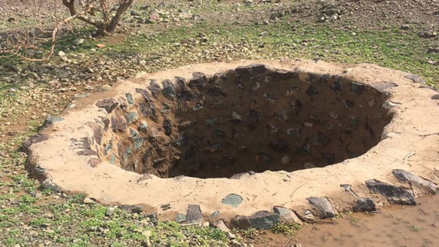 نهاية مروعة لعائلة هندية بسبب قطة