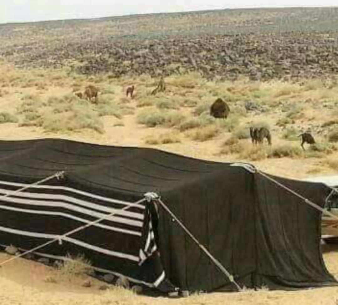 بيت الشعر ، المنزل الأول للبدو