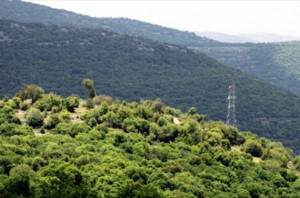 خلال يومين .. رفع 5 أطنان من مخلفات زوار غابة برقش