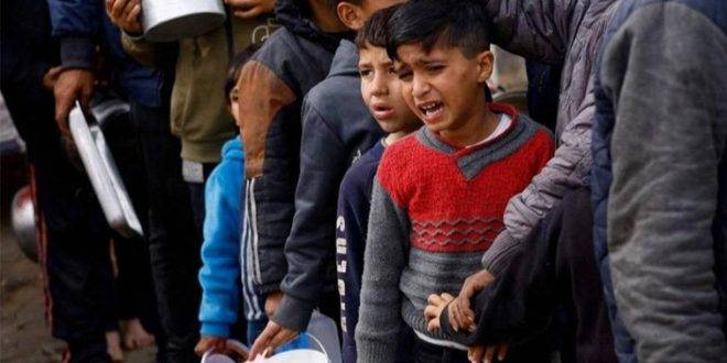 تقرير أممي: 282 مليون شخص عانوا من انعدام الأمن الغذائي الحاد العام الماضي