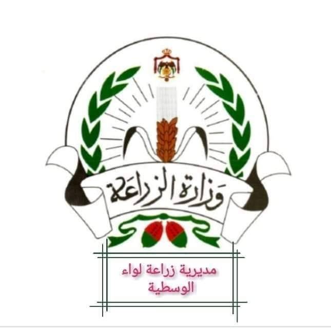 زراعة الوسطية تحذر النحالين من الأجواء الحارة