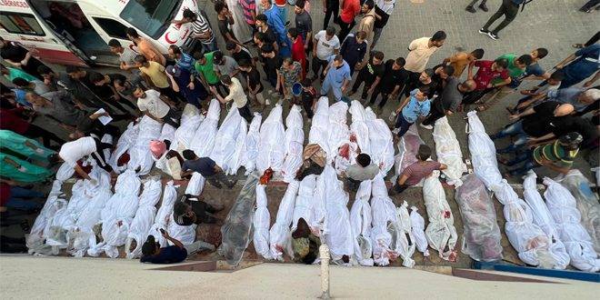 سياسي تشيكي: الدعم الغربي للكيان الإسرائيلي يشجع على استمرار جرائم الإبادة الجماعية في غزة
