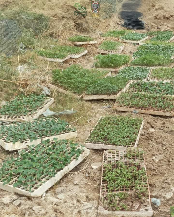 العربية لحماية الطبيعة تدعم مشتل بلدية غزة