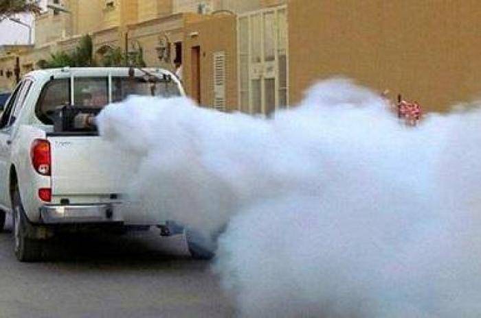 على مكتب رئيس بلدية عين الباشا .. الحشرات تغزو اللواء وبكمات الرش غائبة عن المشهد