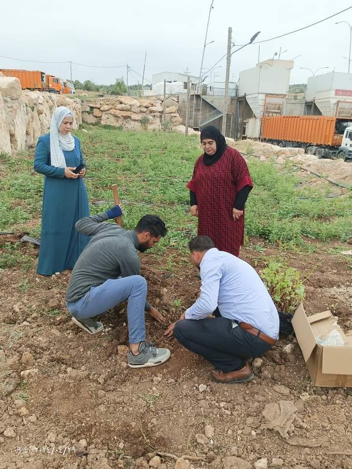زراعة الكورة تطلق مبادرة لزراعة الأشجار المثمرة بالمنطقة