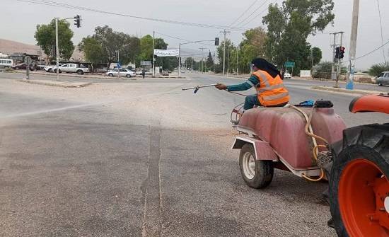 حملة لمكافحة الذباب المنزلي في الأغوار الشمالية