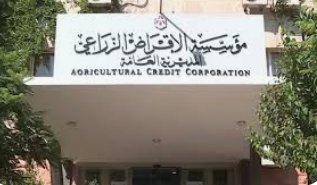 مؤسسة الإقراض الزراعي تقر مجموعة إجراءات لتحفيز الاستثمارات في القطاع