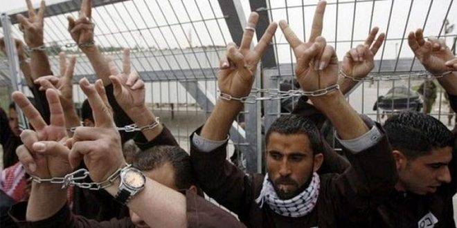 مؤسسات الأسرى الفلسطينية تطالب بالوقوف إلى جانب الأسرى في معتقلات الاحتلال