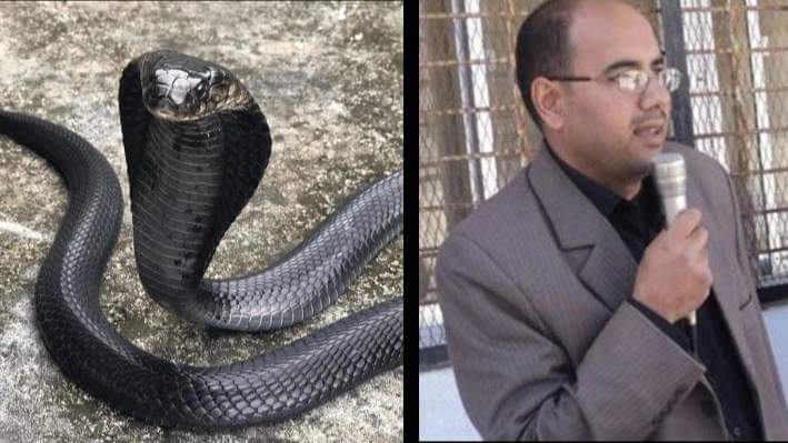 المرافي وقصته مع الأفعى الكبيرة...!
