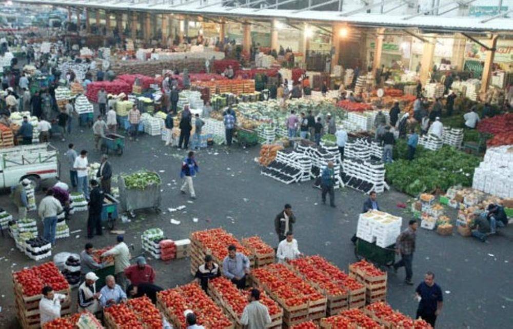3227 طن خضار وفواكه ترد للسوق المركزي اليوم