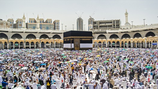 وزير الأوقاف: حافلات احتياطية سترافق الحجاج على طول الطريق إلى المدينة المنورة
