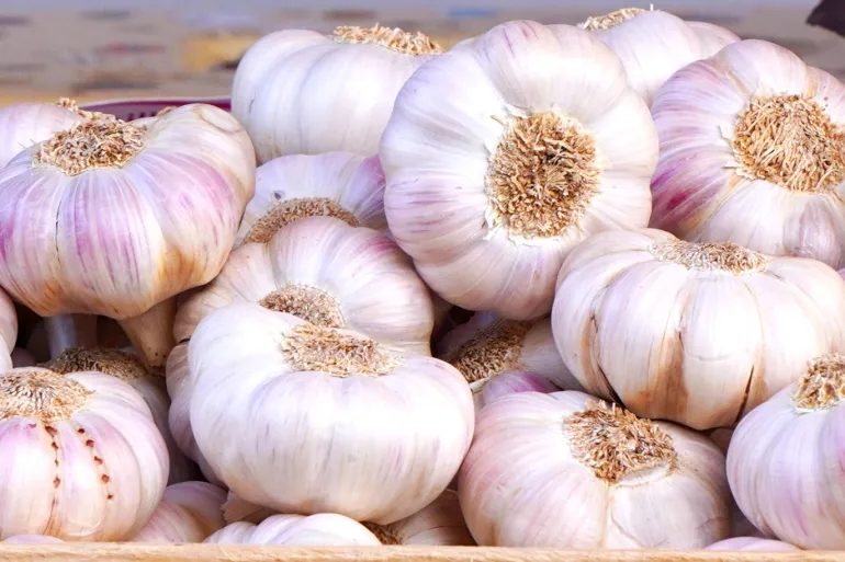 ارتفاع اسعار الثوم في السوق المركزي اليوم