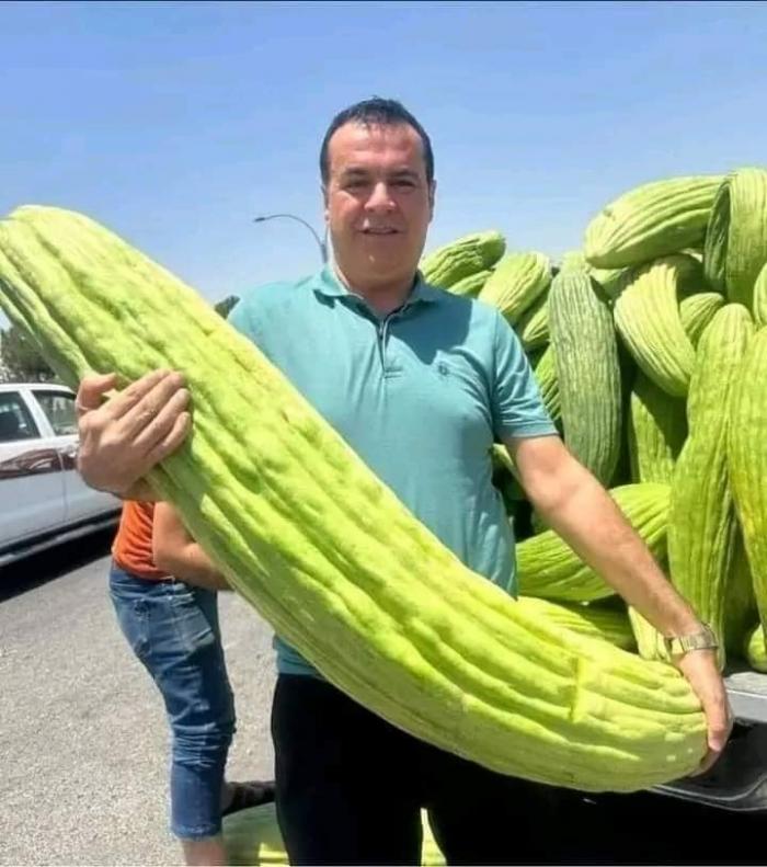 ما حقيقة دخول قرية (راكين) في الكرك موسوعة غينيس للأرقام القياسية بأضخم حبة فقوس؟